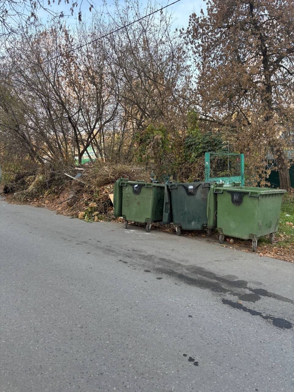 Контейнерная площадка на улице Ватутина в Пензе, по словам местных жителей, не только неэстетична, но и опасна